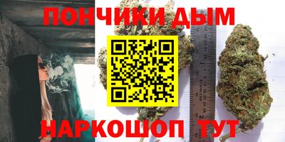 стафф Будённовск