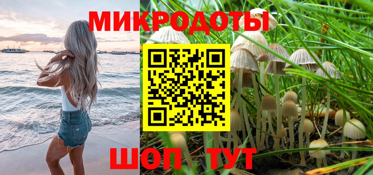 Нурлат  Галлюциногенные грибы GOLDEN TEACHER  Вход с VPN 